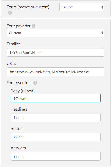 Custom Font Setting