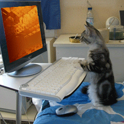 cat computer litring ask method