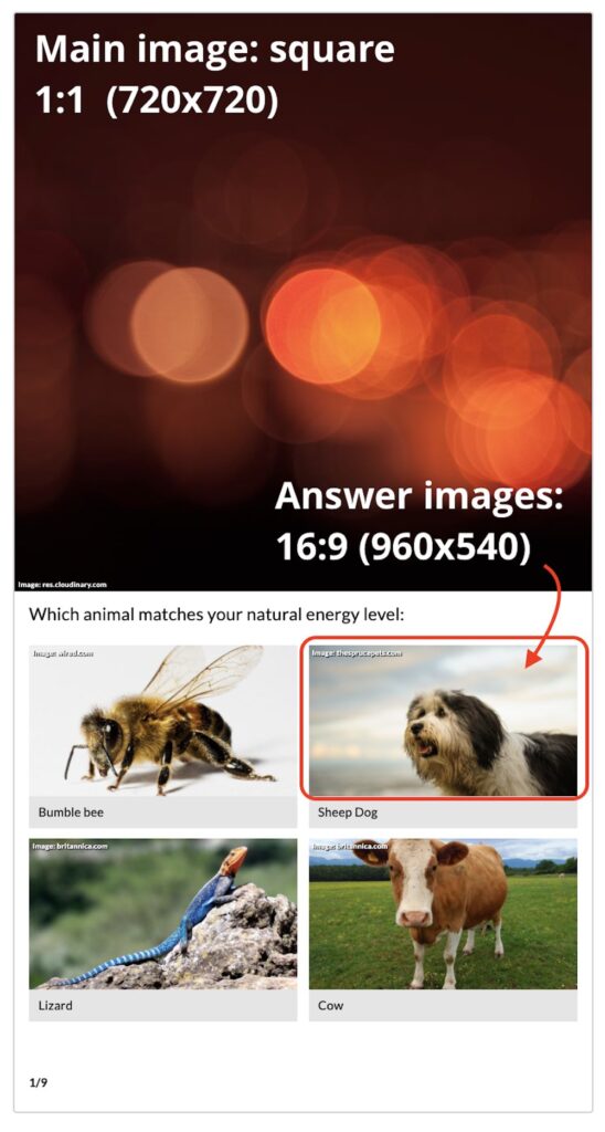 image sizes - square image ratio