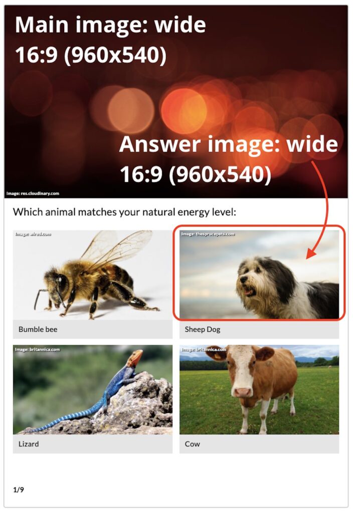 image sizes - wide image ratio