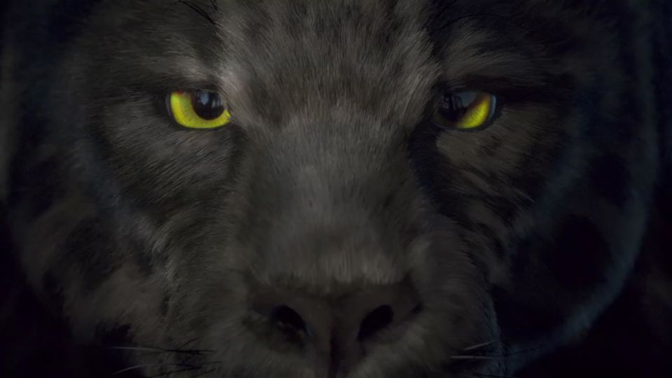 Quiz: Which Olympic animal are you? - CBBC - BBC
