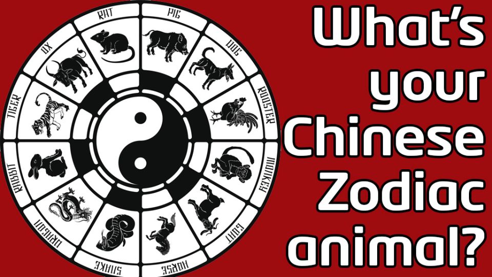 Chinese New Year: Which sign of the Chinese Zodiac are you? - BBC Newsround